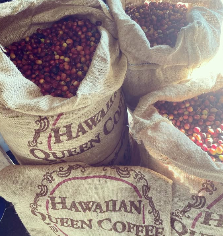 Extra Fancy Kona Coffee – Premium 100% Hawaiian Beans Extra Fancy Kona Coffee – Premium 100% Hawaiian Beans